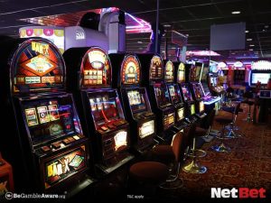 jogoooo|Top Cassino Certificado com Cashback Diário – Baixe o App